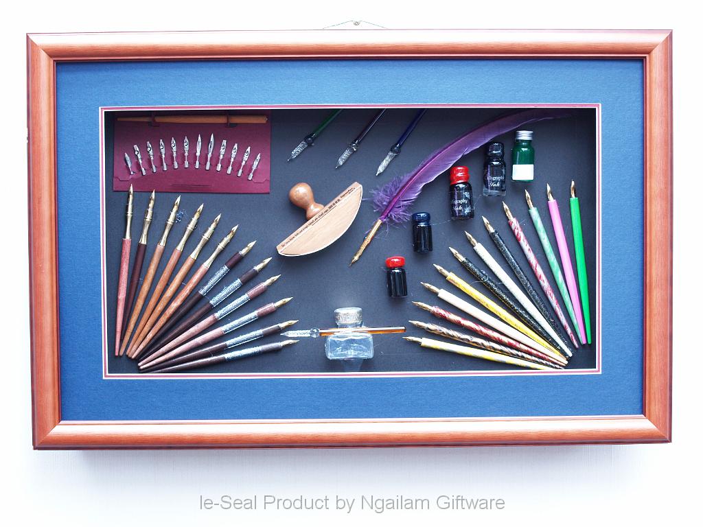 Fountain pen & Ink.JPG